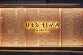 UESHIMA MUSEUM 「創造的な出会いのためのテーマ別展