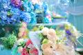 6月6日「カエルの日」、雨と花が彩る『カエルのジュー