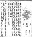 坂角の東京限定えびせんべい〈東京芝えび天〉発売10周