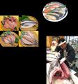 鮮魚専門店「中島水産」2025年6月11日(水)オープン！