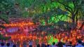 ≪下関港発着≫関釜フェリーで行く、韓国伝統的な火祭り