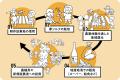 大阪初【大型さつまいも熟成庫】の導入クラウドファン