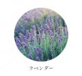 進化を遂げたCAMYUのクリーム3種。次世代レチノールと