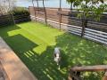 泉大津市なぎさ公園NATURAL DOG PARKに2025年5月新し