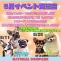 泉大津市なぎさ公園NATURAL DOG PARKに2025年5月新し