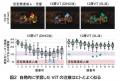 【大阪大学】人工知能が人と同じ視線を獲得したutf-8