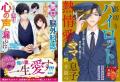 オトナ女子向け恋愛小説「ベリーズ文庫」「ベリーズ文