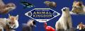 【徳島市】とくしま動物園 STELLA PRESCHOOL ANIMAL K
