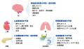 FPP、Nrf2活性化を促す『核内Nrf2量増加剤』としutf-8