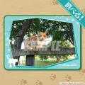 「牧場猫のメト」オンラインくじが登場！ ノーザンレ