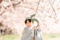 じわり広がる「オフピーク七五三撮影」、桜と着物の“