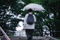 新発想の分離方式リュック『VEIL』に防水タイプが新登