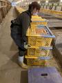 日清丸紅飼料株式会社 総合研究所に、アシストスーツ
