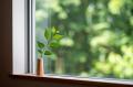 日々の暮らしの中に、森とつながる時間を。「森と暮ら