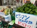 高知を“八百屋で元気にする”令和の行商「森尾商店」移