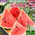 【ふるさと納税お礼品トレンド】収穫量1、2位の熊本・