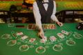 実力と運の真剣勝負！─ 初心者から上級者まで楽しめる
