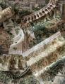 チャールズ国王が育んだ庭園をテーマにしたコレクショ