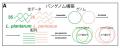 ぐるなび・東京科学大学「ぐるなび食の価値創成共同研