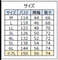 JR東日本商事オリジナル　列車見張員・工事管理者用エ