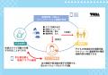 【大府市×TRILL】NPO法人TRILLは、愛知県大府市におけ