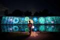京都の世界遺産で、五感をめぐる“納涼”アートイベント