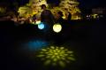 京都の世界遺産で、五感をめぐる“納涼”アートイベント