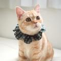 【出展者数200越え】東海最大級の猫好きイベント「に