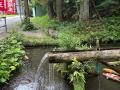 【自然とつながる里山滞在】千葉・富津の里山にグラン