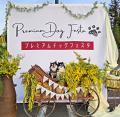 犬と夜更かし!? 全国から185店舗以上が大集合！大人気