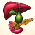 医療と美術、二つの視点から生まれた絵画　希少疾患と