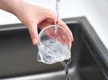 無限子ネコ製造機に新タイプが仲間入り！中身が見えて