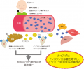 富士産業、独自素材・白甘藷(カイアポ)の機能性utf-8