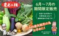 機動警察パトレイバー「農産二課」による夏野菜販売開