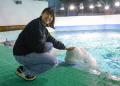 【鴨川シーワールド】「水族館探検プラン」＆「ナイト