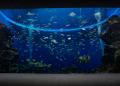 【鴨川シーワールド】「水族館探検プラン」＆「ナイト