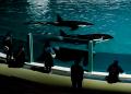 【鴨川シーワールド】「水族館探検プラン」＆「ナイト