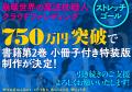 『崩壊世界の魔法杖職人』開始13分でクラファン目標達