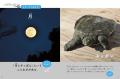 いろいろなつながりを発見しよう！世の中にある「つな