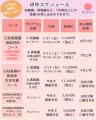 認定NPO法人ピッコラーレ主催 支援者養成研修「＜妊娠