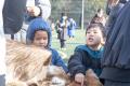 千葉県鎌ケ谷市にて「スポーツ×食×感謝」をテーマにし
