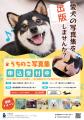 うちのペットたちの写真集が出版できる！書籍シリーズ