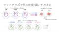 第5回 アクアフォトミクス国際学会・市民講座にて、ド