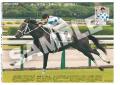 「スポーツ報知コンビニプリント」に競馬の新馬戦紙面