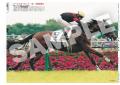 「スポーツ報知コンビニプリント」に競馬の新馬戦紙面