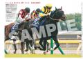 「スポーツ報知コンビニプリント」に競馬の新馬戦紙面