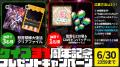 『ゴシックは魔法乙女～さっさと契約しなさい！～』ケ
