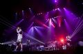 UVERworld 結成25周年＆デビュー20周年を記念した東京