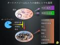 大阪・関西万博のテーマウィーク『食と暮らしの未来』