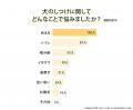 犬のしつけに悩む飼い主は8割以上！基本的なトレーニ